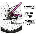 BICICLETA GRAVITY DABOMB MTB R29 ALUMINIO • Violeta - 7.webp