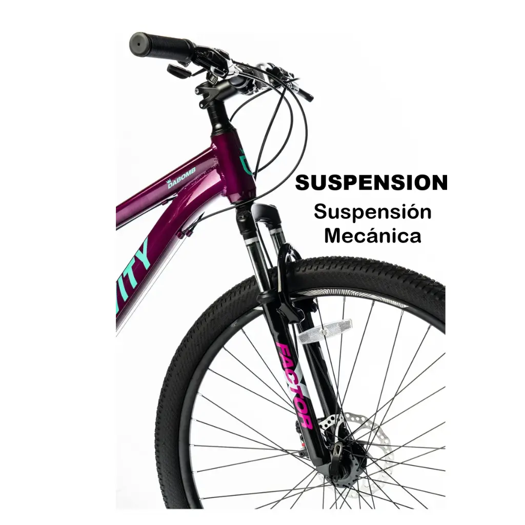 BICICLETA GRAVITY DABOMB MTB R29 ALUMINIO • Violeta - 5.webp