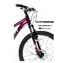 BICICLETA GRAVITY DABOMB MTB R29 ALUMINIO • Violeta - 5.webp