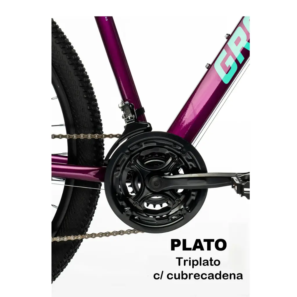 BICICLETA GRAVITY DABOMB MTB R29 ALUMINIO • Violeta - 6.webp