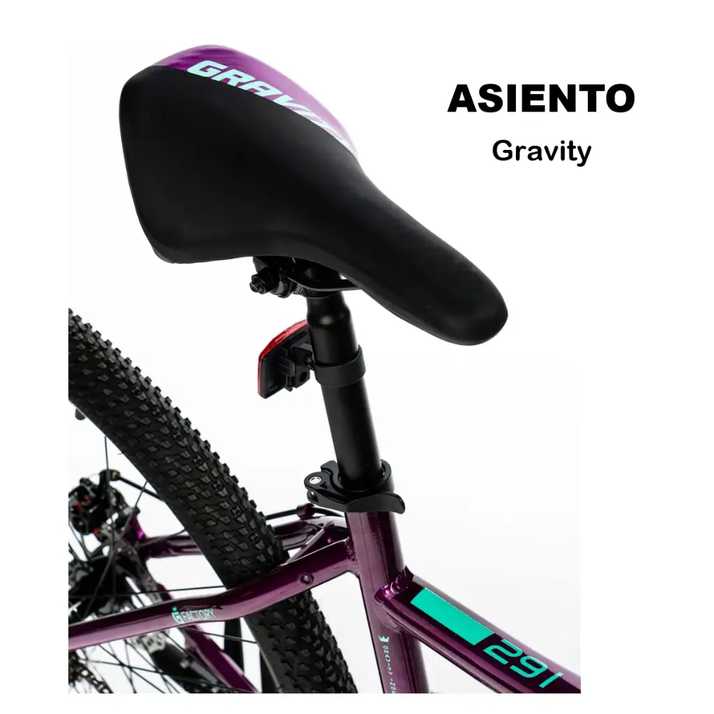 BICICLETA GRAVITY DABOMB MTB R29 ALUMINIO • Violeta - 4.webp