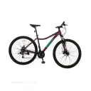 BICICLETA GRAVITY DABOMB MTB R29 ALUMINIO • Violeta