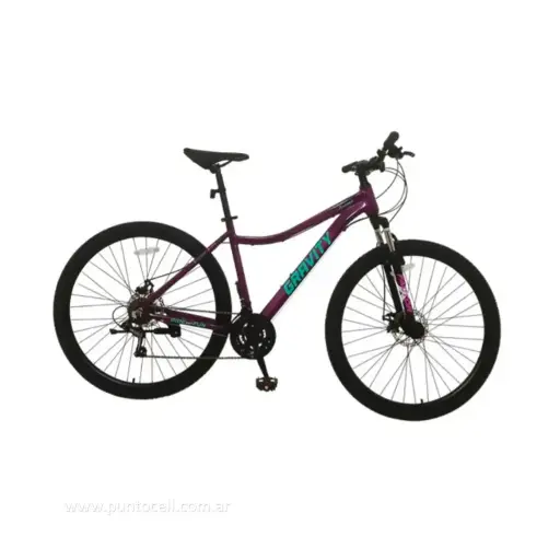 [112608] BICICLETA GRAVITY DABOMB MTB R29 ALUMINIO • Violeta